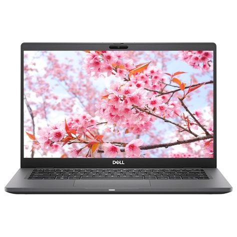 laptop đồ họa